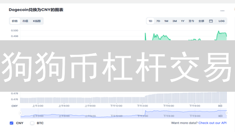 狗狗币杠杆交易：新手必看！10倍收益，风险有多大？