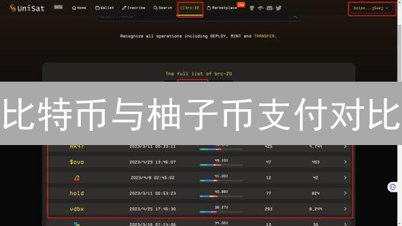 比特币与柚子币支付对比：效率、灵活性及区块链技术双刃剑