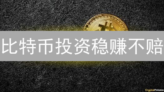 比特币投资稳赚不赔？六大策略揭秘！新手也能轻松入门