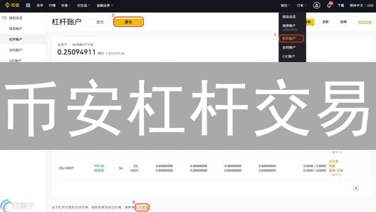 币安杠杆交易：新手必看！8大风险控制策略，避免爆仓危机！