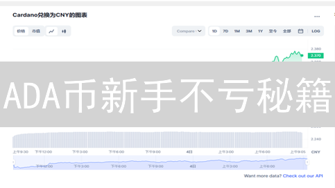 ADA币新手不亏秘籍：3个技巧让你少走弯路？