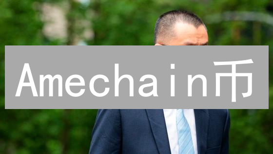 Amechain币：AI驱动的去中心化未来，技术、市场与前景分析