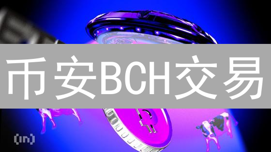 币安BCH交易：新手必看！4招选出最优交易对，躺赚攻略！