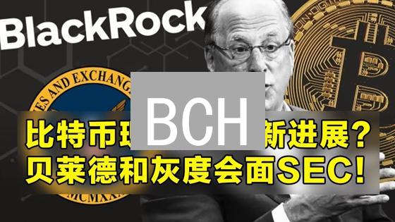 BCH：技术升级能否助其重塑支付未来？