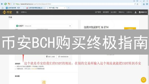 币安BCH购买终极指南：新手到专家速成秘籍！