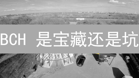 BCH 是宝藏还是坑？Coinbase 的选择与币圈的未来！