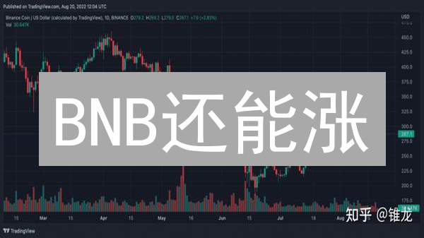 BNB还能涨？2024币安币未来趋势深度解读，避坑指南！