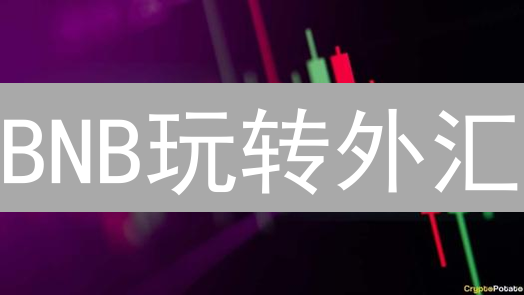 BNB玩转外汇？币安币交易外汇的4种妙招 (2024最新)