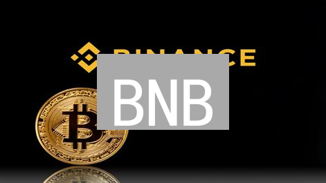 BNB/XRP大PK：谁将引领未来？三大加密货币投资趋势剖析！