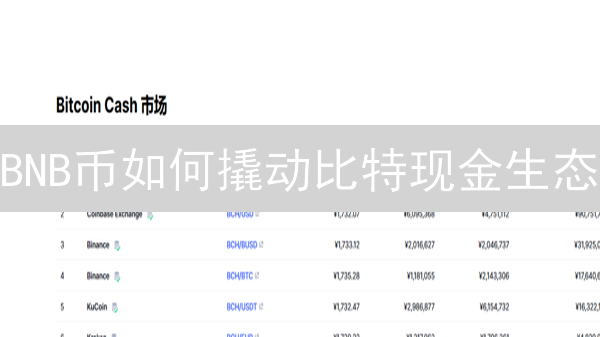 BNB币如何撬动比特现金生态？你绝对想不到！