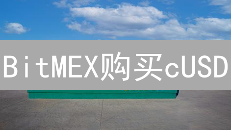BitMEX购买cUSD：新手教程、交易风险与最新机遇详解