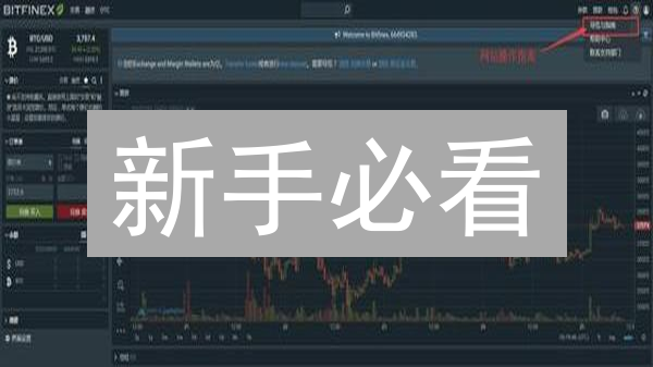 新手必看：Bitfinex交易指南，7天掌握加密货币交易技巧！