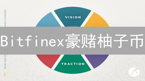 Bitfinex豪赌柚子币：一币之遥，成败几何？深度解读EOS投资策略