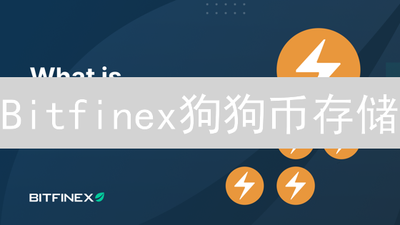 Bitfinex狗狗币存储：安全高效的数字资产管理方案详解