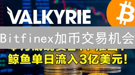 Bitfinex加币交易机会？交易风险评估与前景展望！