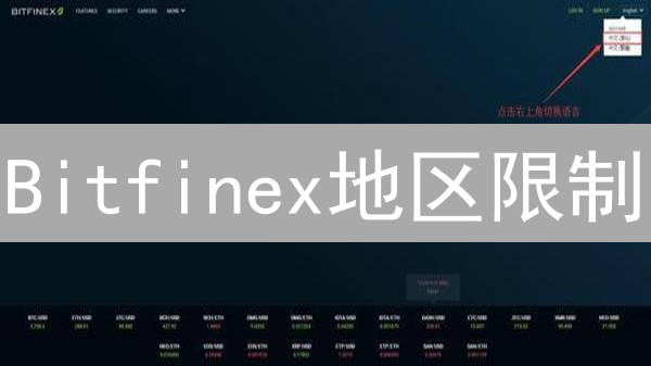 Bitfinex地区限制：原因、影响与替代方案深度解析