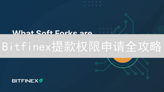 Bitfinex提款权限申请全攻略：避坑指南，安全提币就这么做！