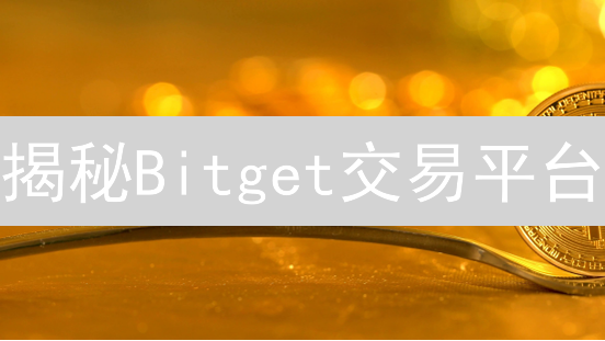 揭秘Bitget交易平台：新手也能轻松盈利的秘诀？
