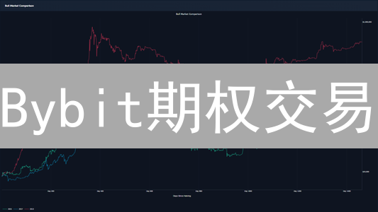 Bybit期权交易：10招控制风险，高收益不再是梦魇！