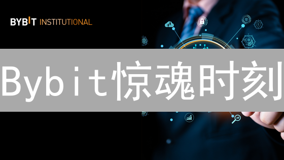 Bybit惊魂时刻：爆仓潮？波动性真相大揭秘！