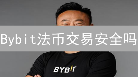 Bybit法币交易安全吗？深度剖析风险与防范！