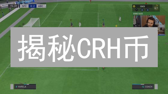揭秘CRH币：下一个百倍币？机遇与风险并存！