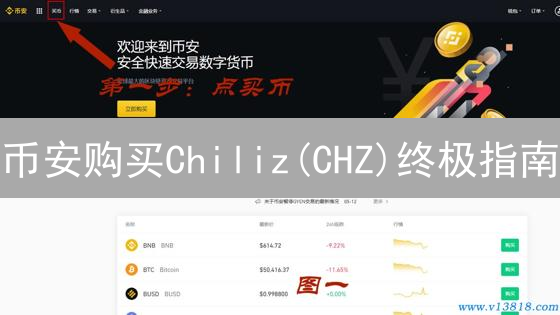 币安购买Chiliz(CHZ)终极指南：新手必看！避坑技巧大公开！
