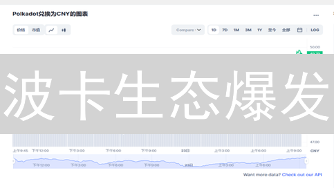 波卡生态爆发？币安深度解析DOT的投资机会与未来潜力！
