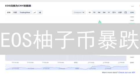 EOS柚子币暴跌？2024年还能抄底吗？三大风险分析！