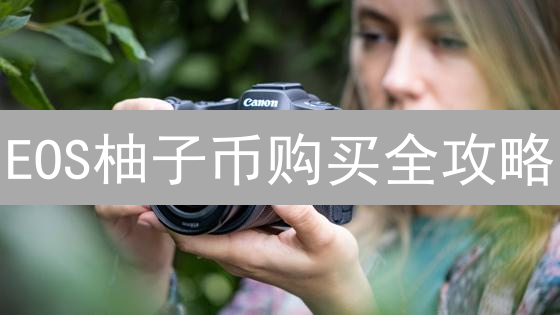 EOS柚子币购买全攻略：新手老手都适用的指南？