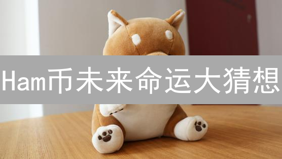 Ham币未来命运大猜想：技术、市场与监管，谁主沉浮？