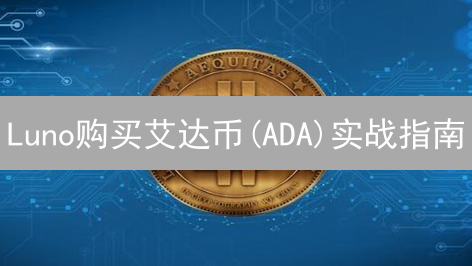 Luno购买艾达币(ADA)实战指南：新手也能轻松上手！