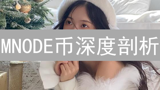 MNODE币深度剖析：下一个颠覆性加密货币？