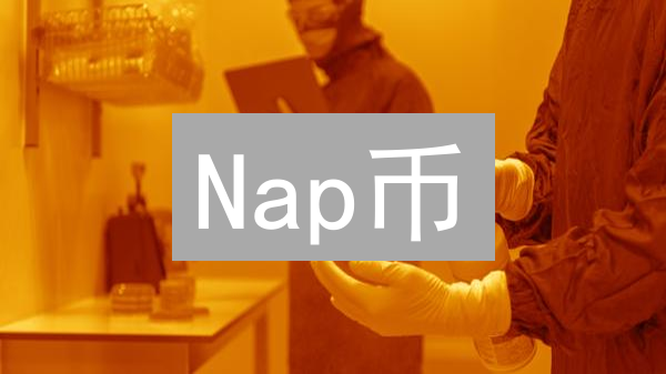 Nap币：午睡经济的加密货币新星，技术基础与社区共建