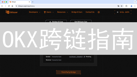 OKX跨链指南：10分钟掌握资产转移秘籍！