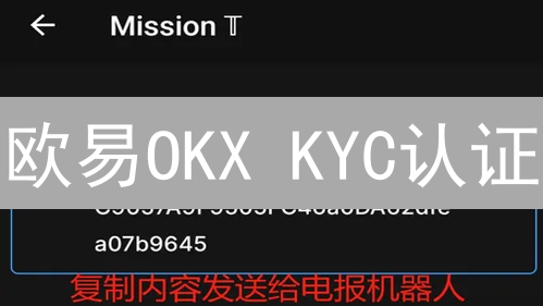 欧易OKX KYC认证：快速上手，畅享数字资产交易！