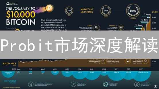 Probit市场深度解读：抓住波动中的投资机遇？