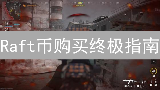 Raft币购买终极指南：新手也能轻松上手！