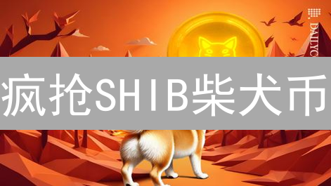 疯抢SHIB柴犬币？OKX官网快速购买指南【新手必看】