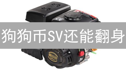 狗狗币SV还能翻身？火币未上，另辟蹊径淘金！