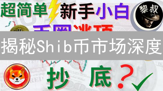 揭秘Shib币市场深度：流动性足否？交易风险几何？
