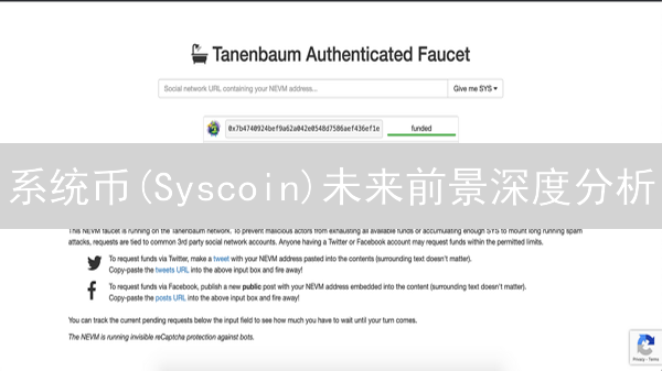 系统币(Syscoin)未来前景深度分析：机遇与挑战并存