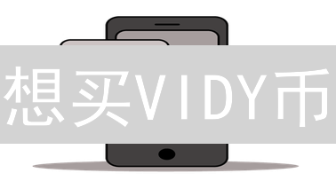 想买VIDY币？欧易(OKX)购买指南全攻略！安全便捷！