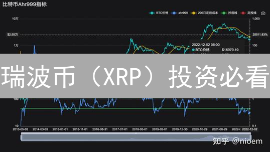 瑞波币（XRP）投资必看：技术、监管与市场三重风险深度剖析！